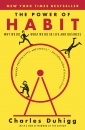 The Power of Habit